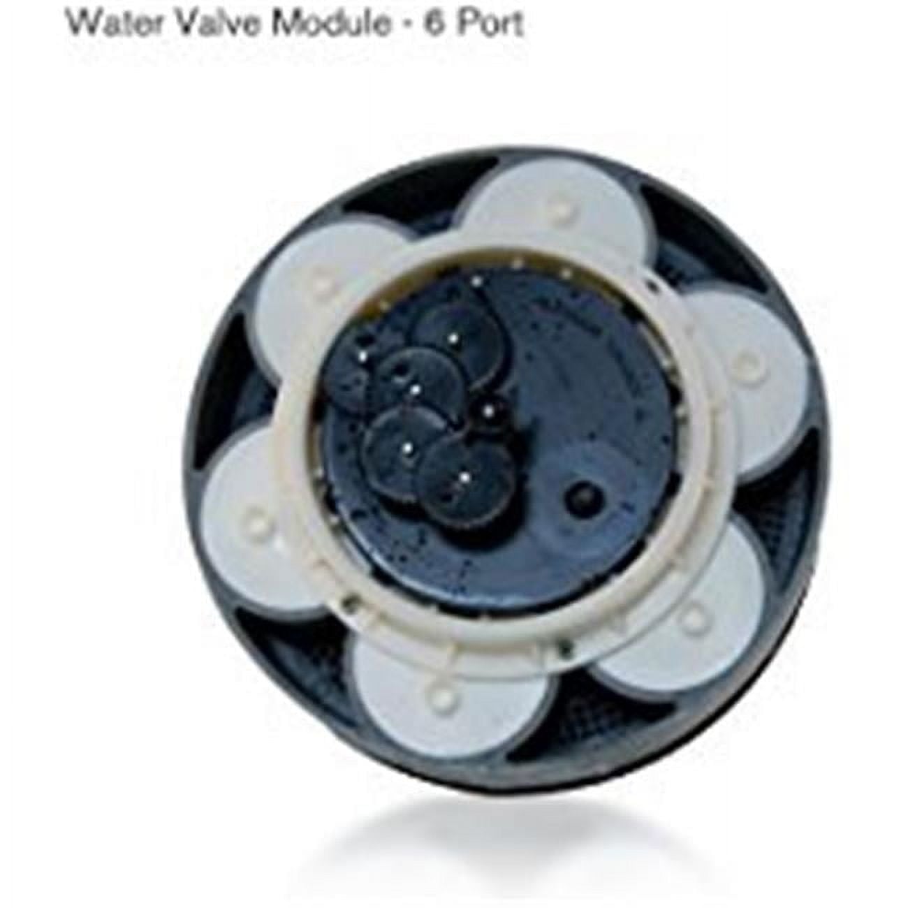 Six Port Water Module