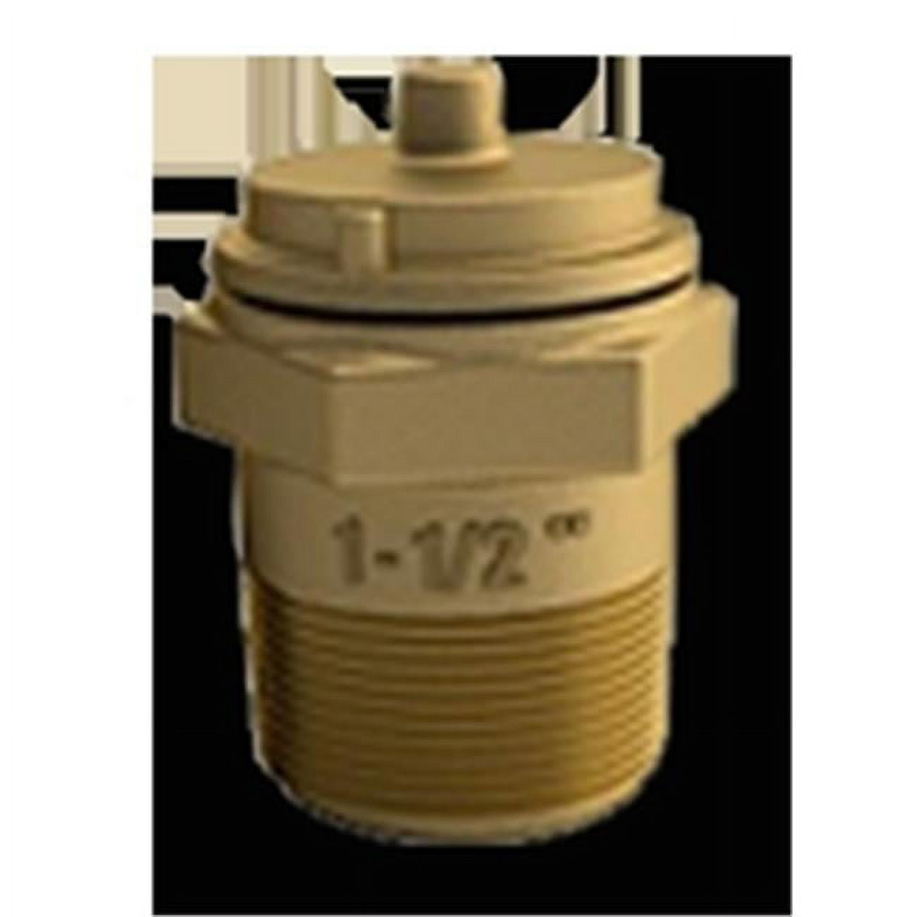 2 in. MPT Hydrostatic Valve, Bronze