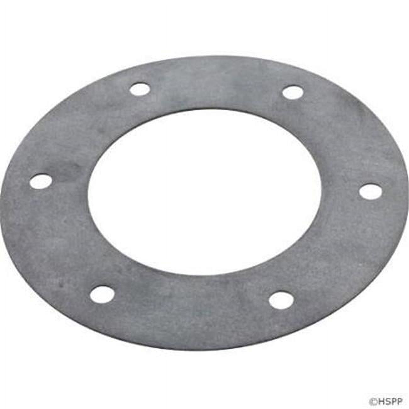 Badustream Face Ring Gasket