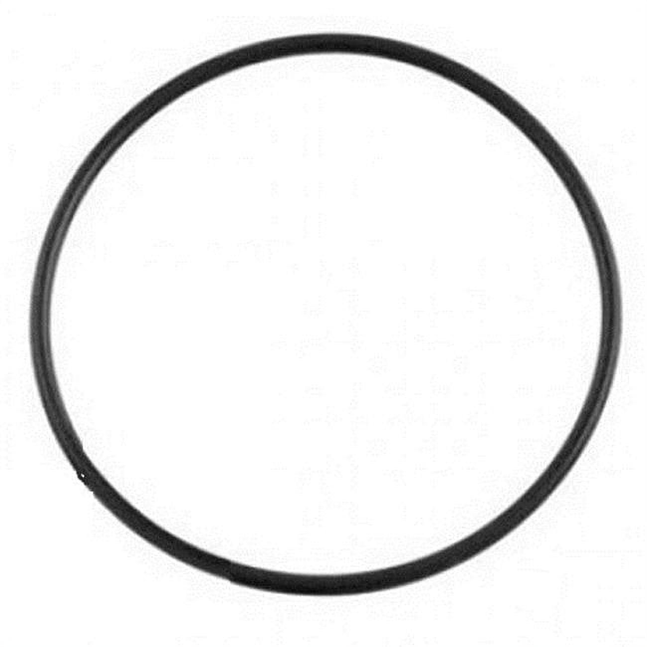 2 in. Generic Replacement O-Ring