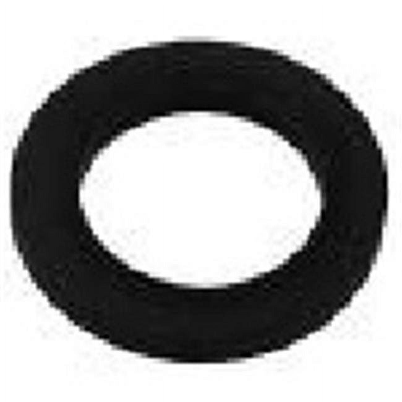 APCO2358 0.62 in. O-Ring for Astral 00470R0319