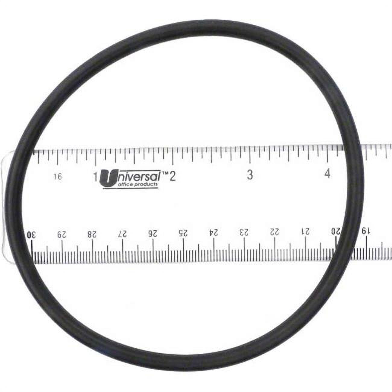 APCO2399 Starite Lid U9295 O-Ring
