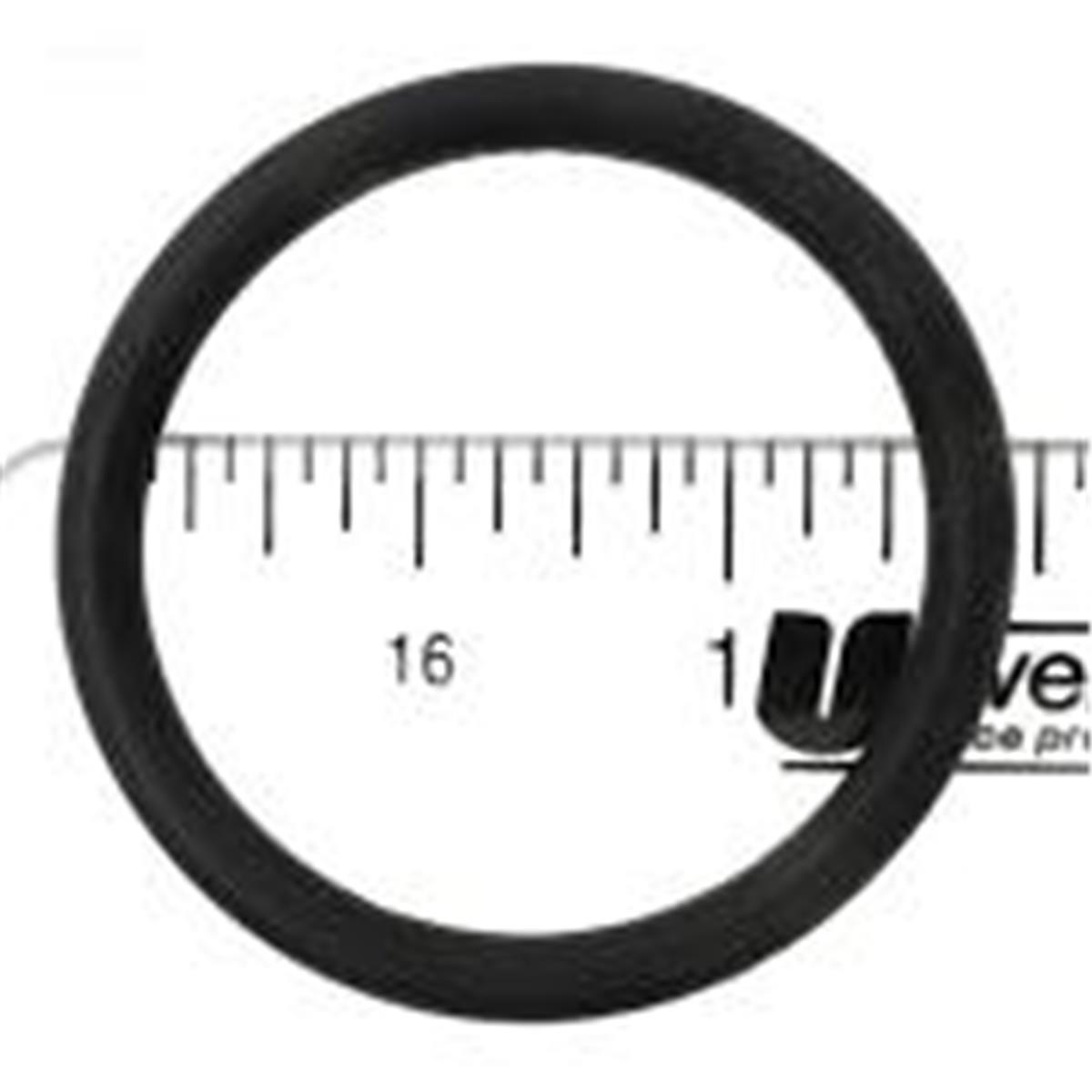 APCO2448 Jacuzzi 47021811 ORing