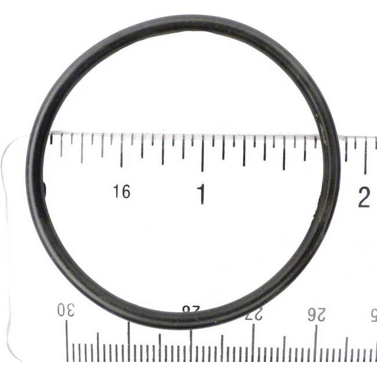 APCO2195 The Replacement O-Ring Kit