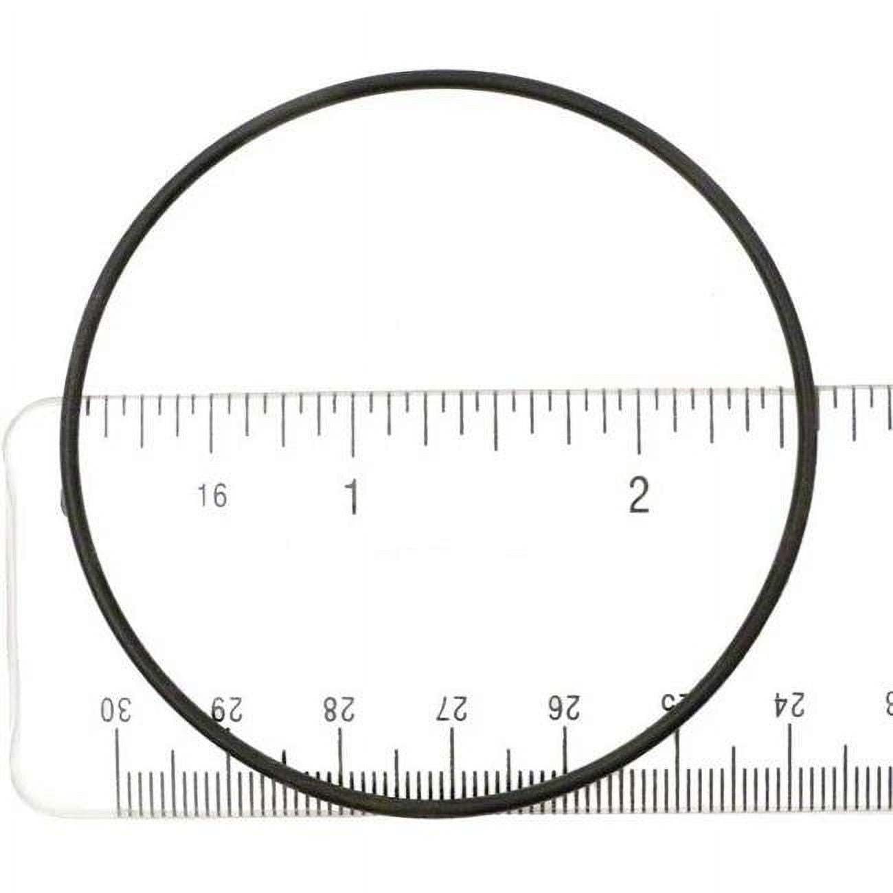 Replacement Swimming O-Ring