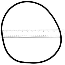 11 in. Replacement Sta-Rite O-Ring