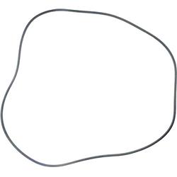 24 in. Replacement Sta-Rite O-Ring