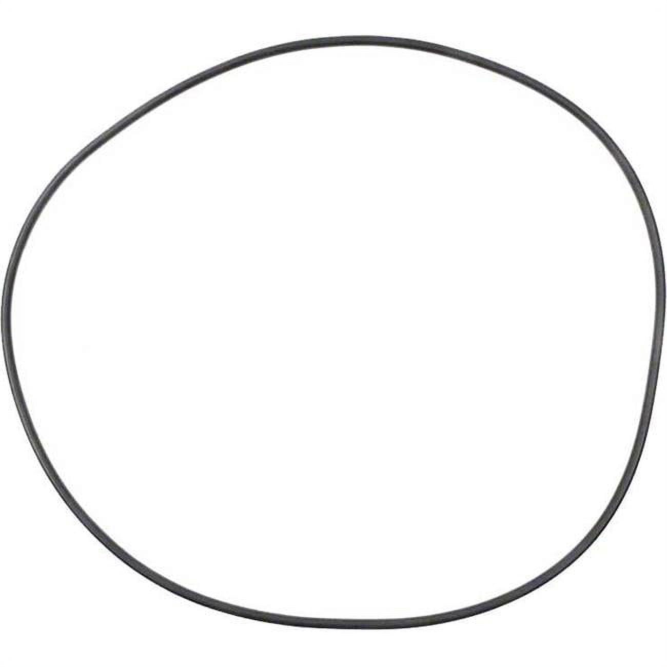 ALA-PT APCO2306 American O-Ring Kit