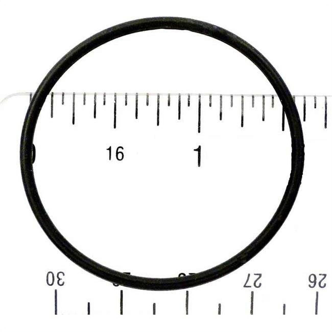 APCO2113 A Diaclear O-Ring