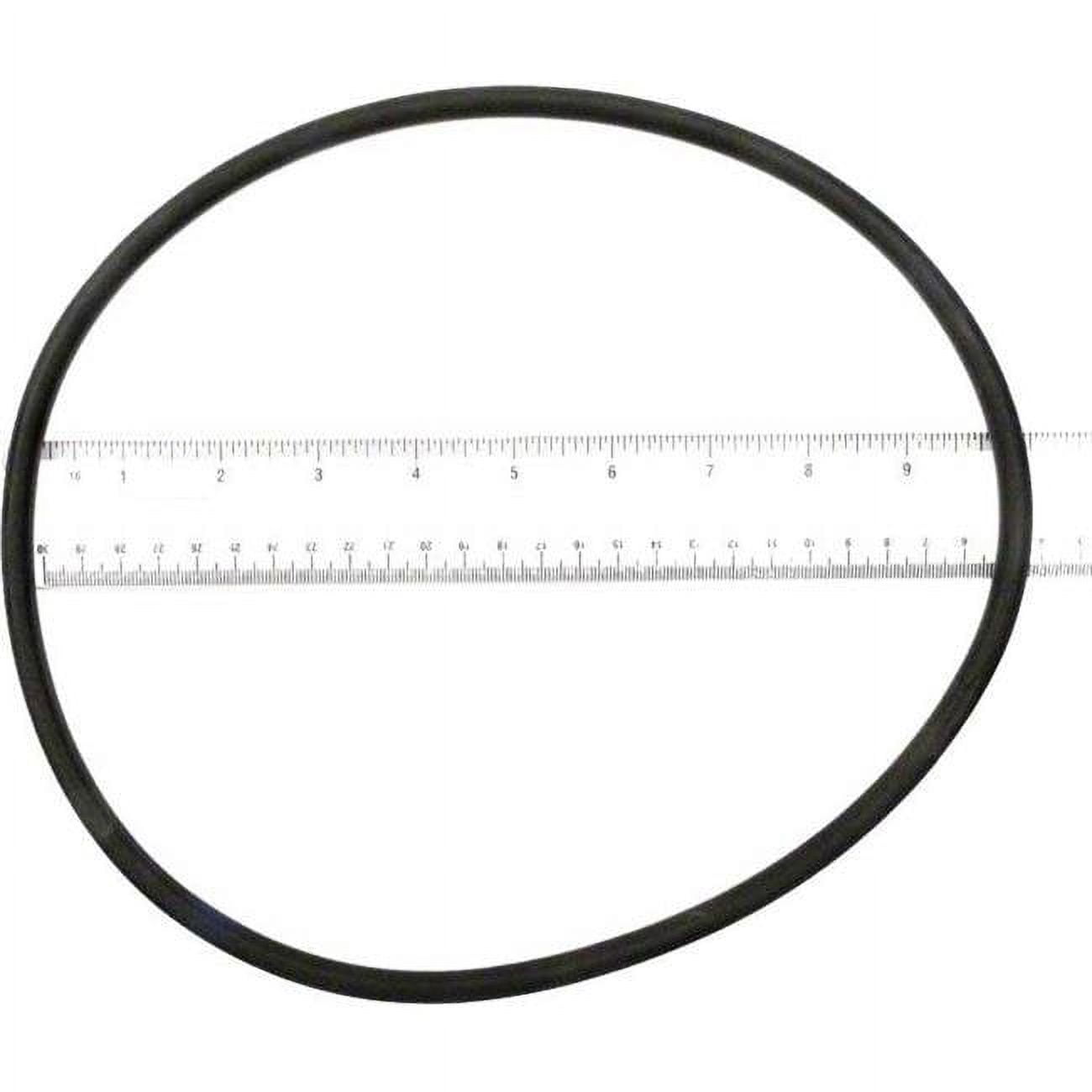 The Purex O-Ring