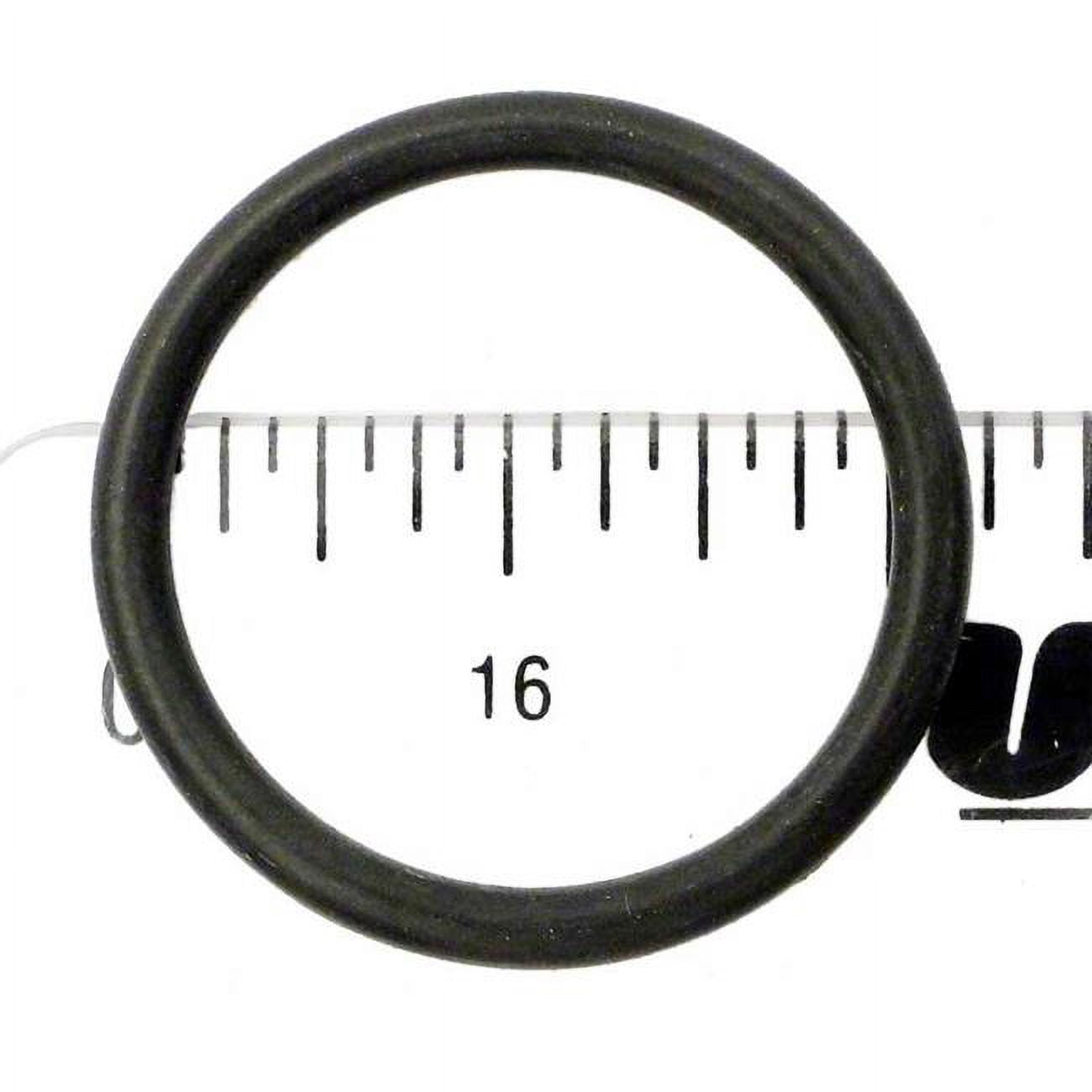 APCO2151 American 570067 O-Ring