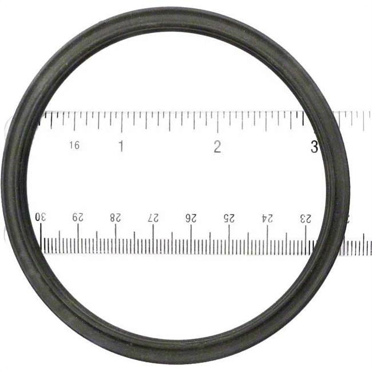 APCO2010 A Swimquip O-Ring