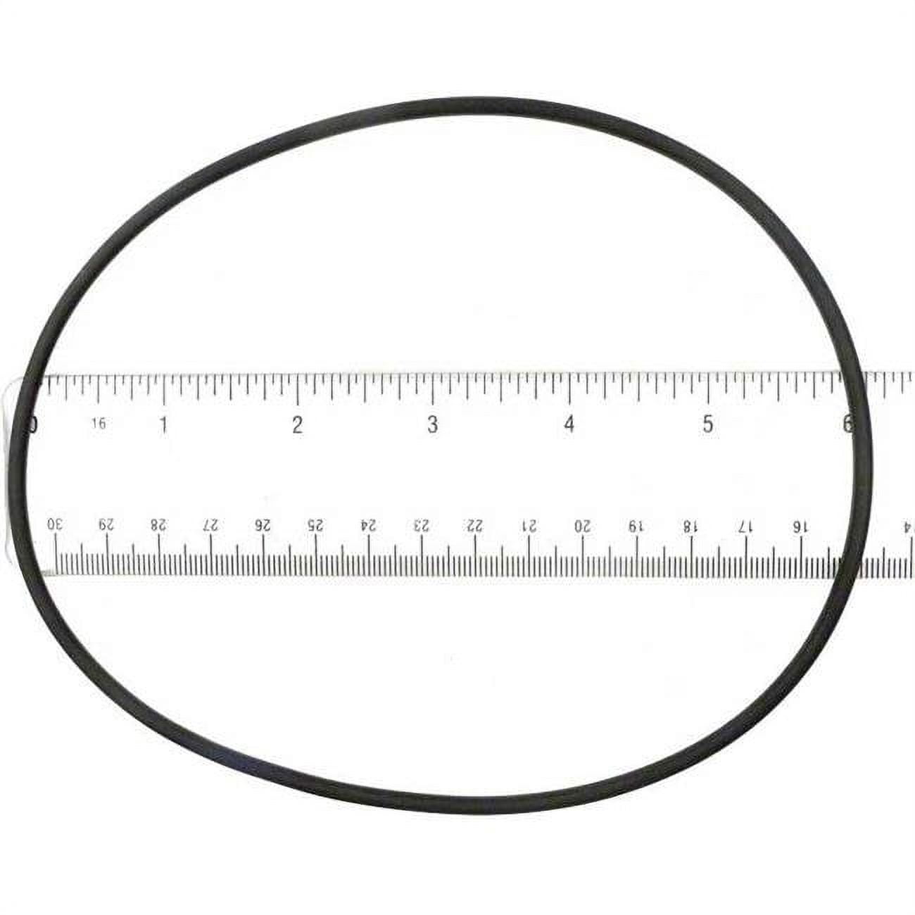 APCO2193 Replacement Swimquip O-Ring