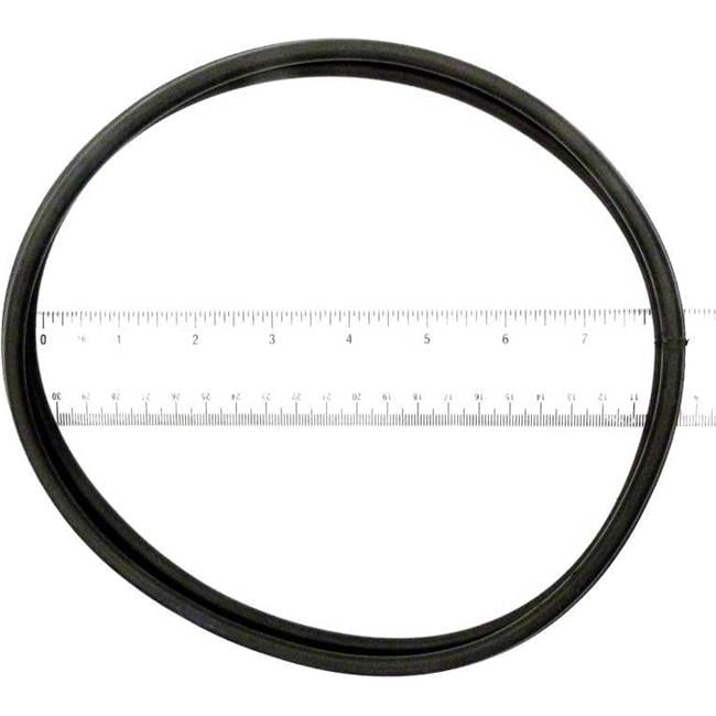 A Lens Gasket