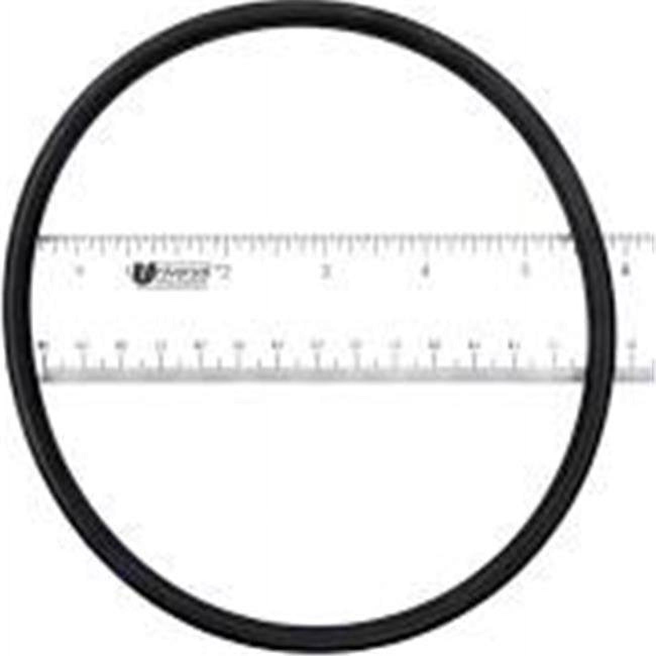 392014 Amer. Lid O-Ring