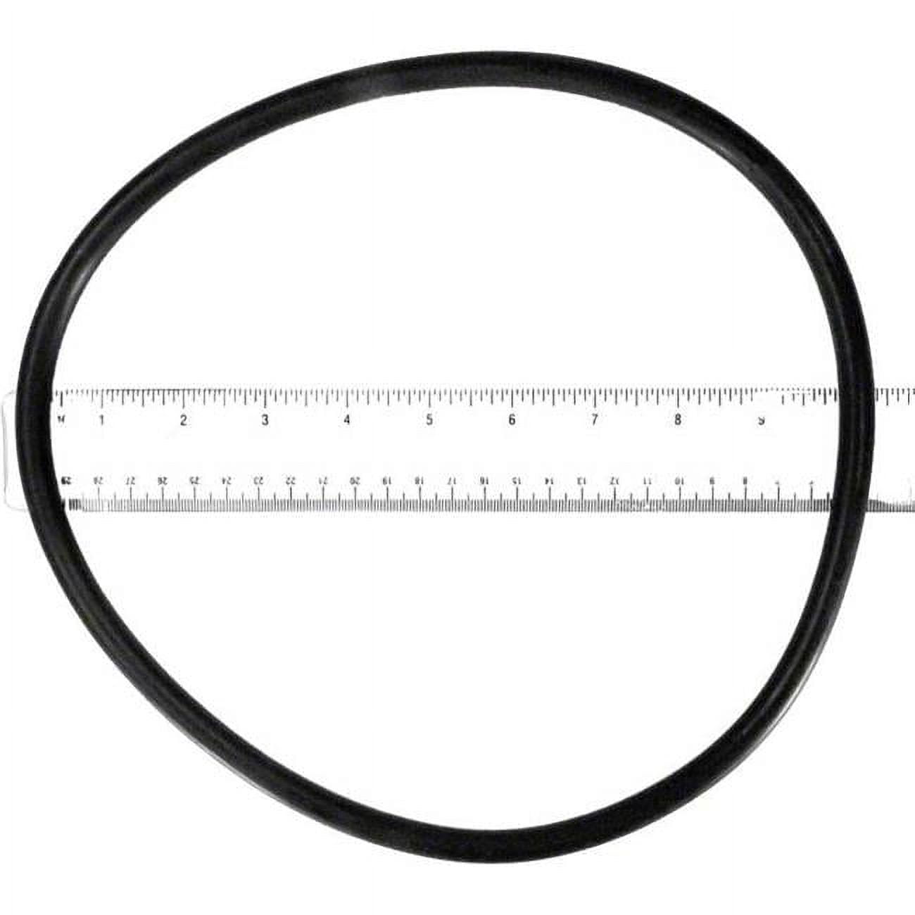 Cartridge Filter Lid O-Ring