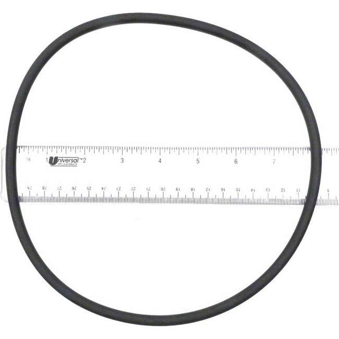 APCO2453 Anthony Lens Gasket
