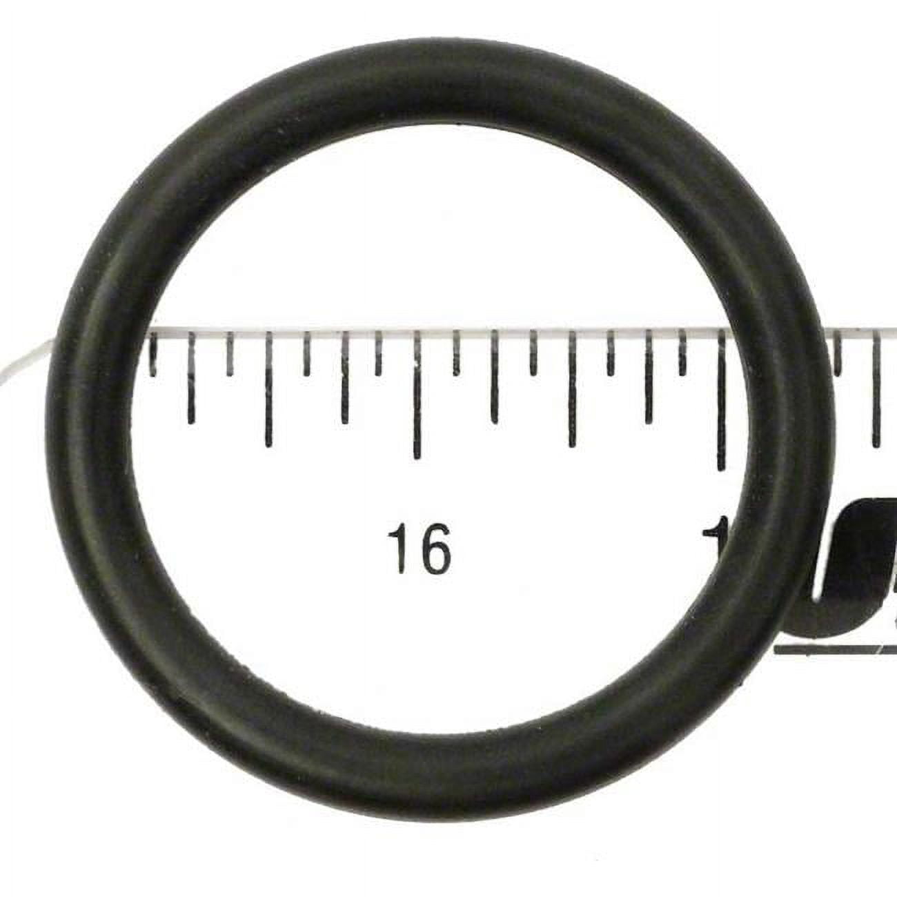 APCO2347 Rainbow R172451 O-Ring