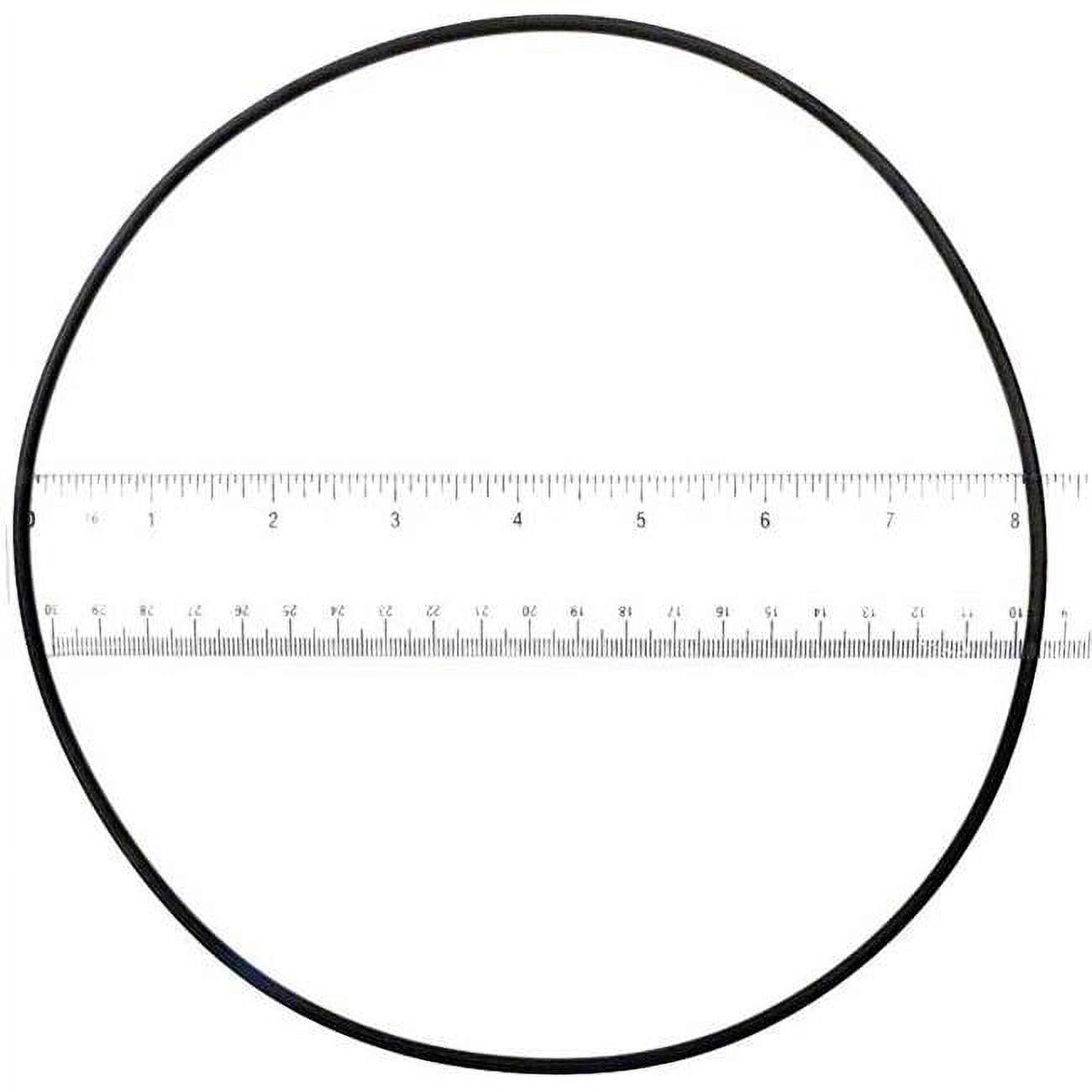 APCO2025 Starite Lid O-Ring