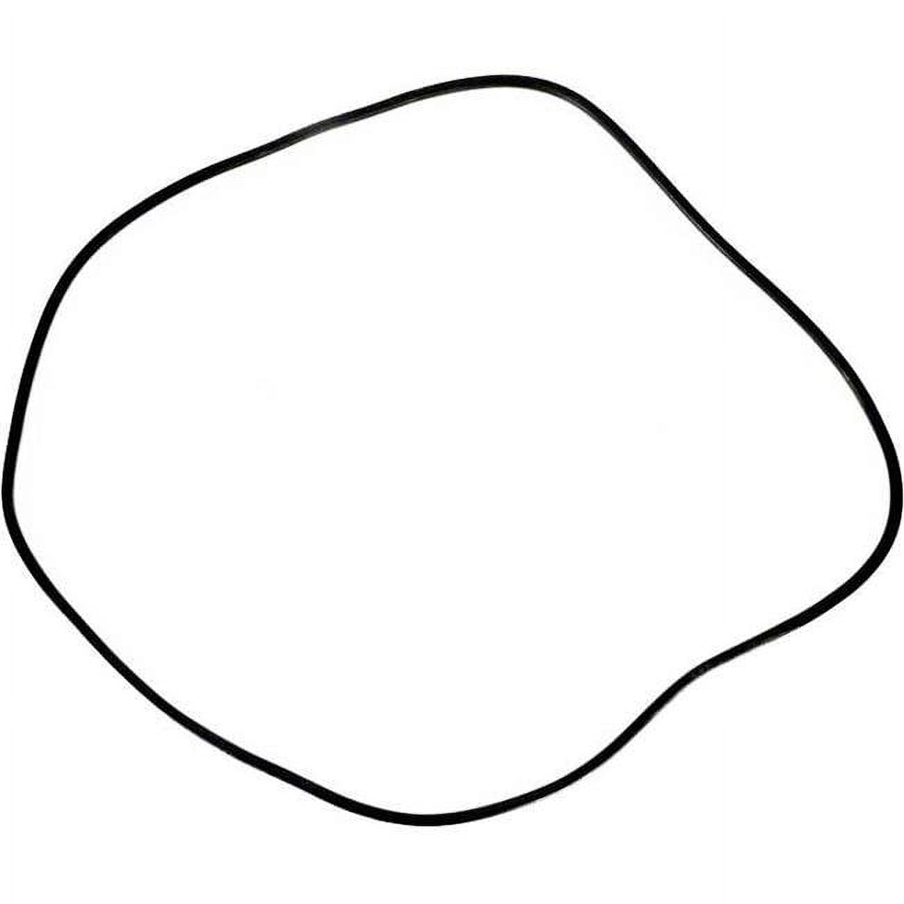 A Doughboy O-Ring Kit