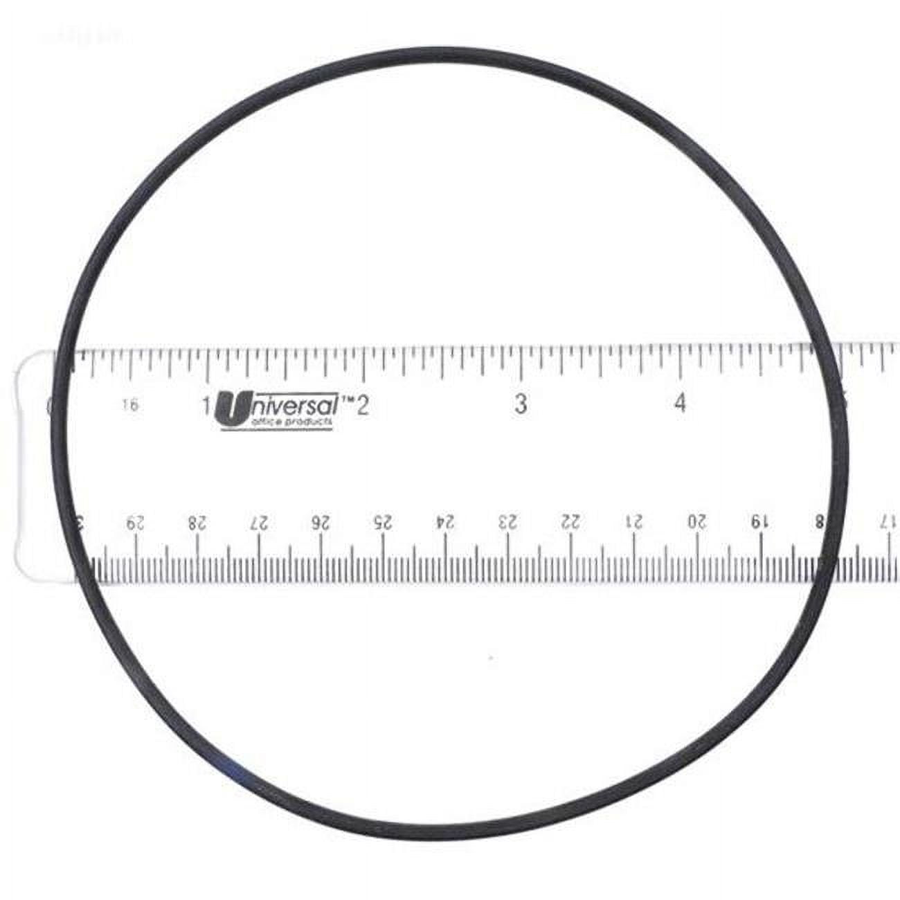 APCO2438 P.Fab Volute 352626 O-Ring