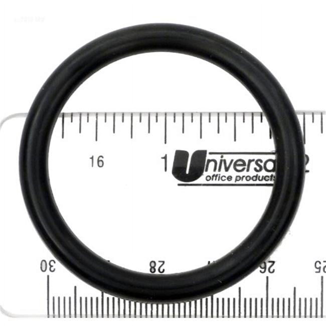 APCO2391 Drain Cap O-Ring