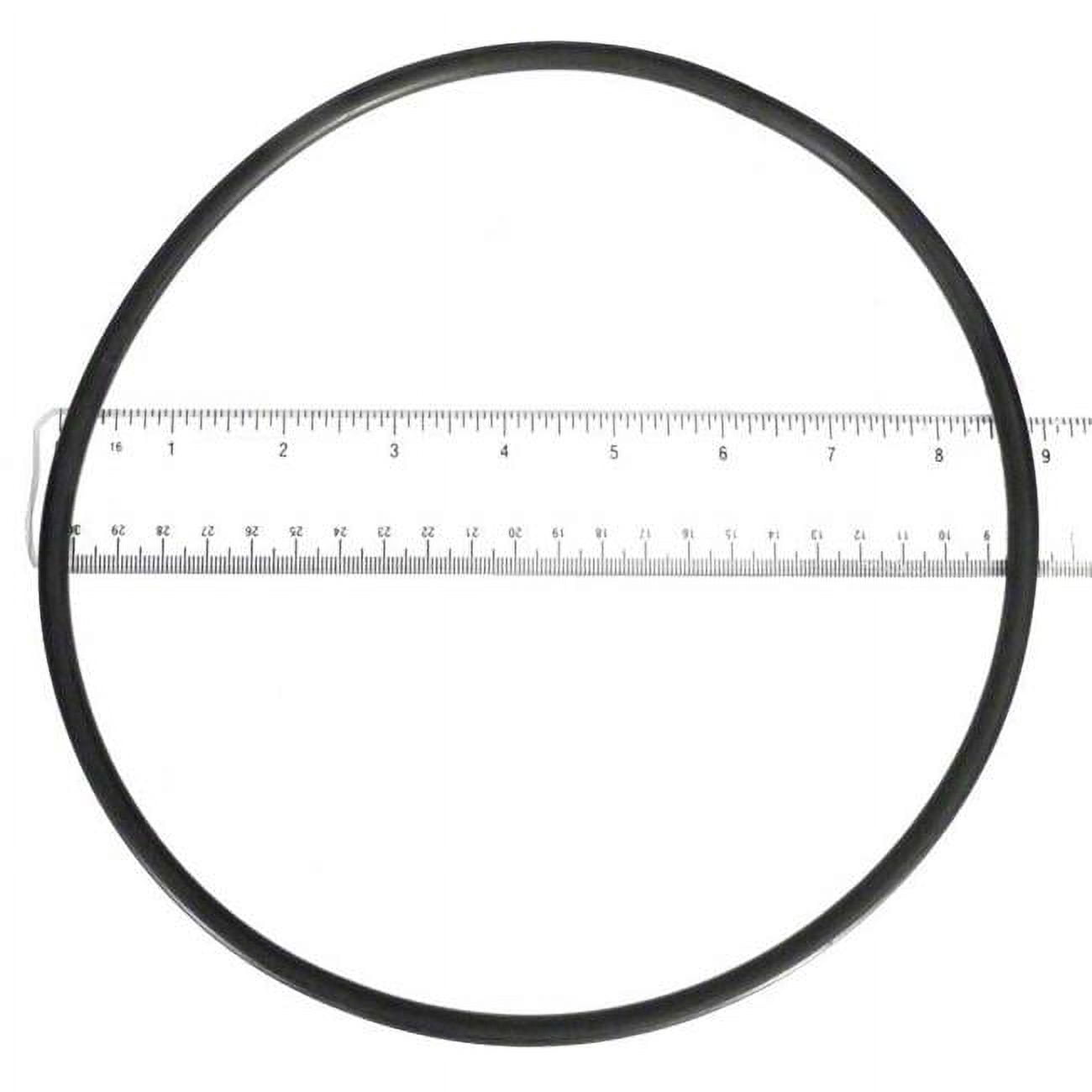 Seal Plate O-Ring Sta-Rite