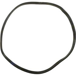 Swimquip Vacuum Lid O-Ring