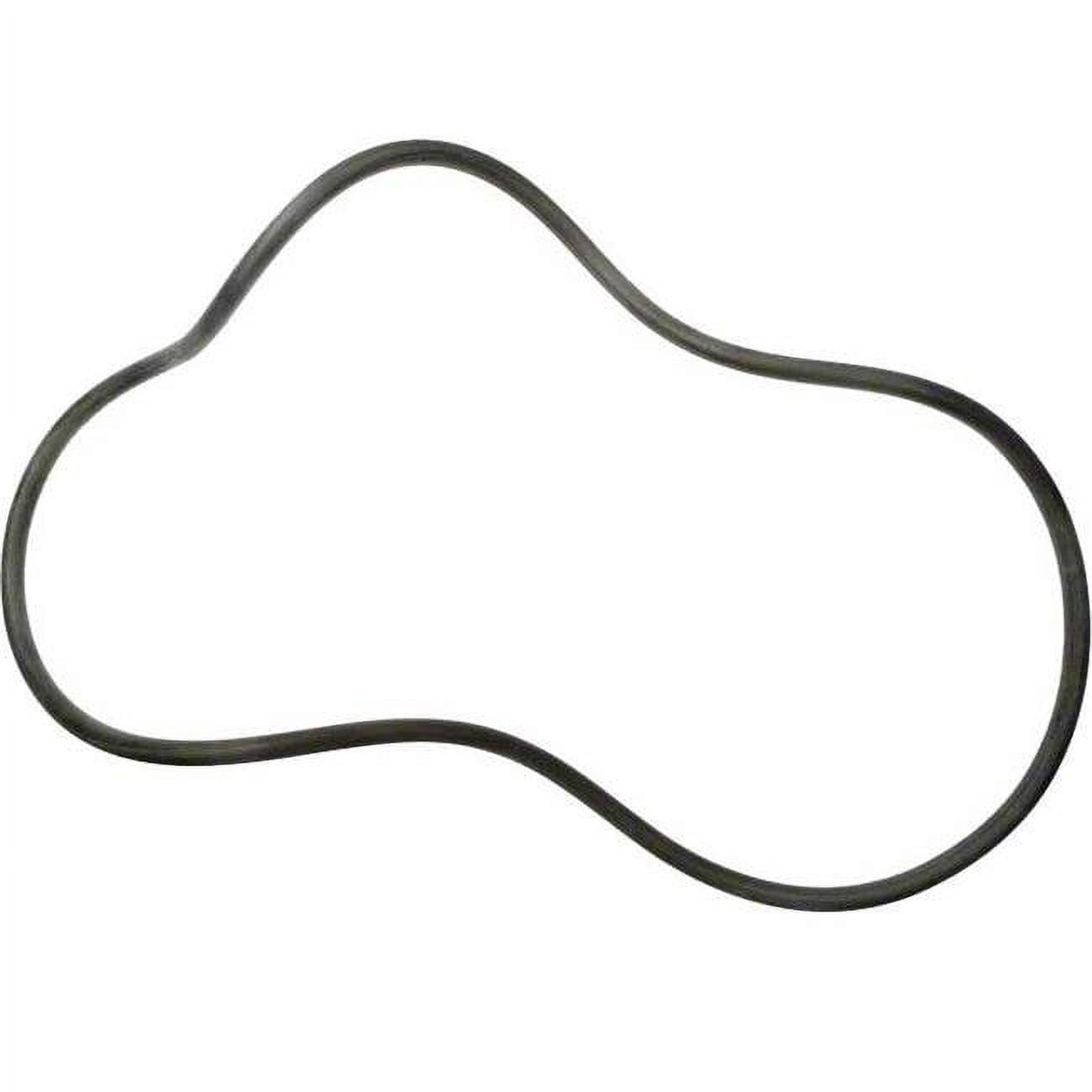 A Lomart O-Ring