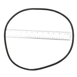 A American 12 in. O-Ring