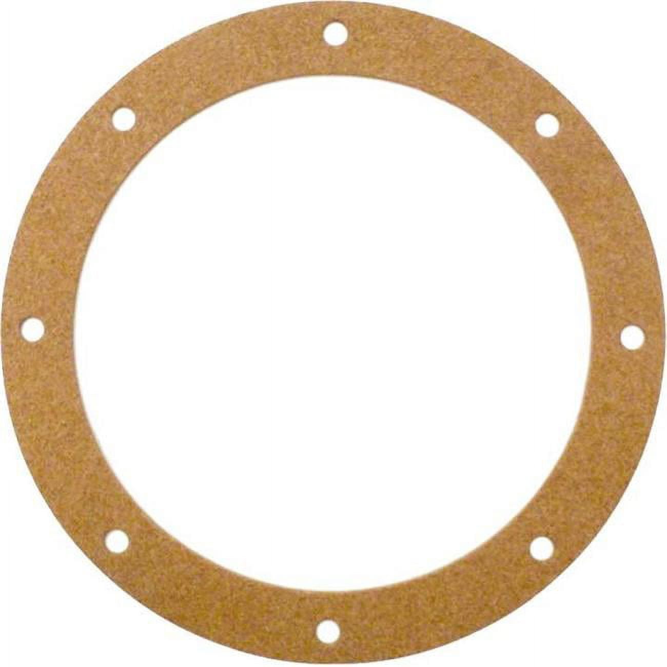 APCG3060 Main Drain Gasket