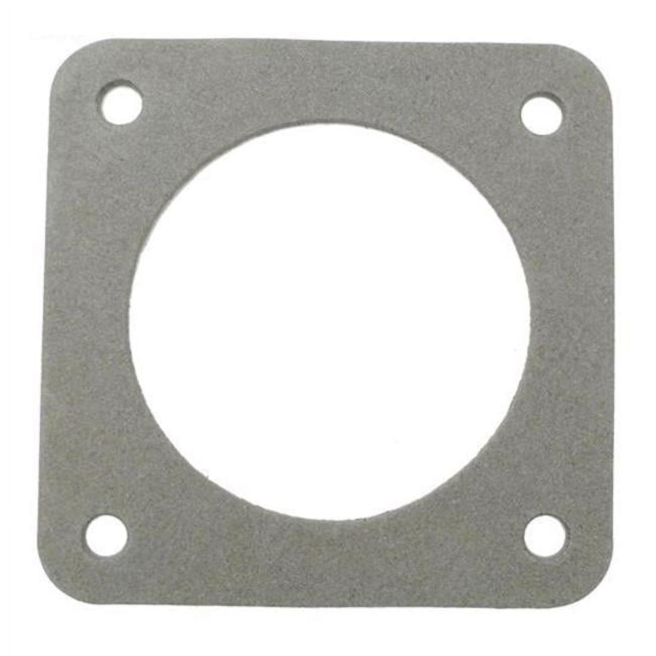 A Aquaflo Gasket
