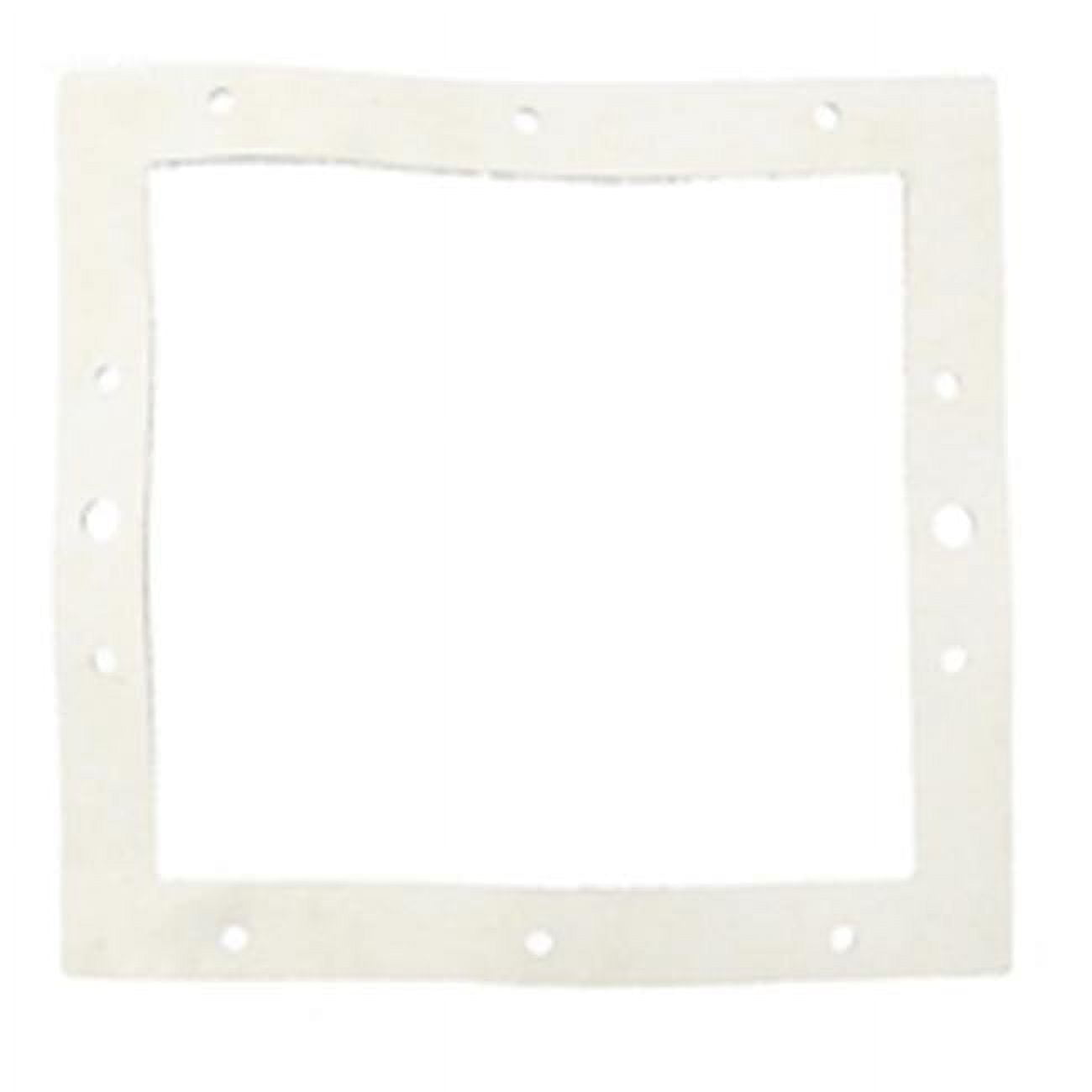ABG Skimmer Gasket