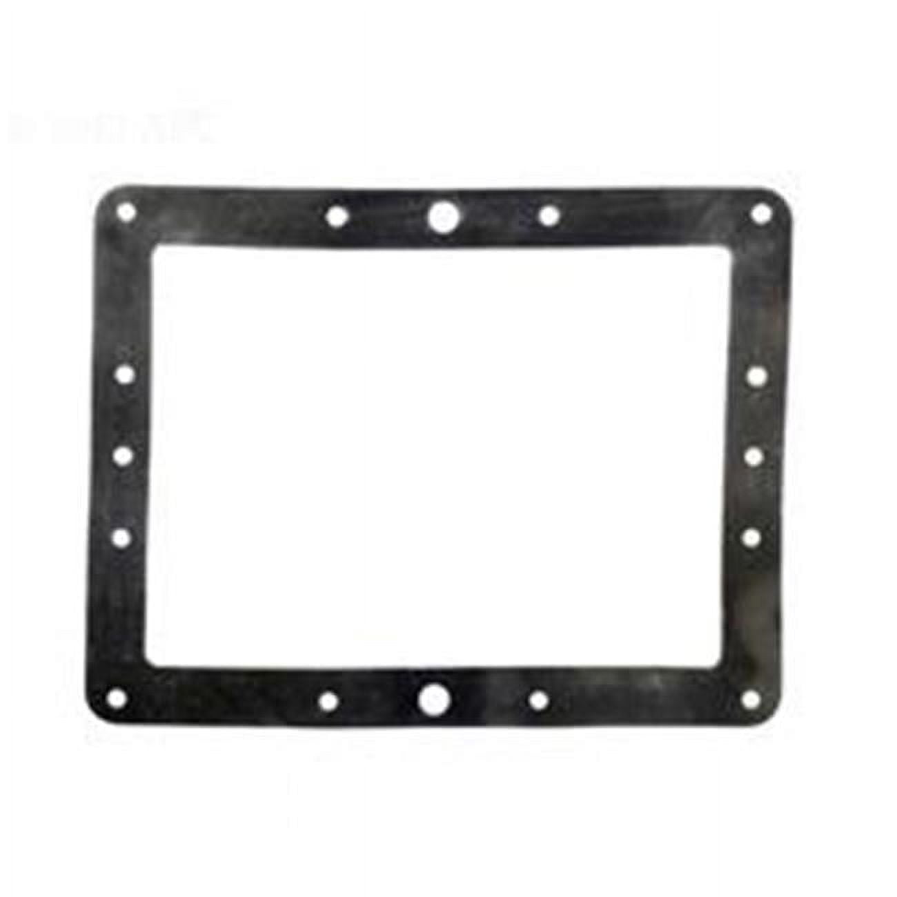APCG3389 Rubber Skimmer Gasket