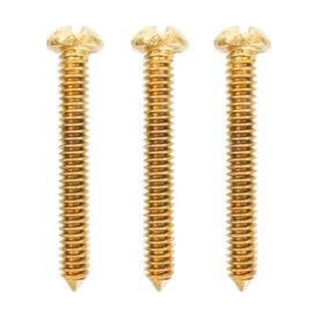 Light Adapter Brass Screws
