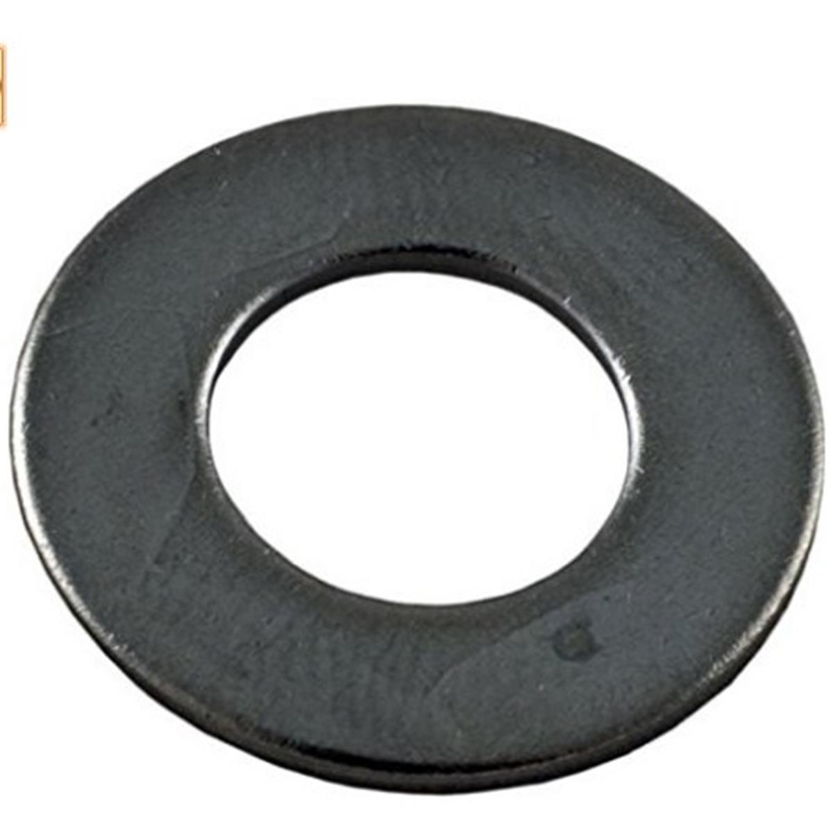 Pentair Water Pool & Spa 072184 Pool Flat Washer