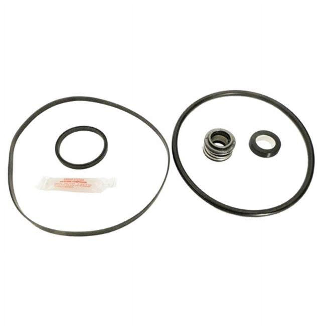 6 g Silicone Packet
