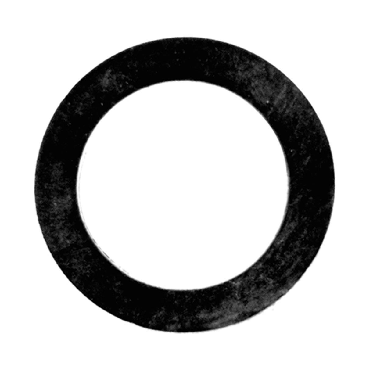Pentair Water Pool & Spa 074629 Gasket Flat Washer Style for Drain Plugs