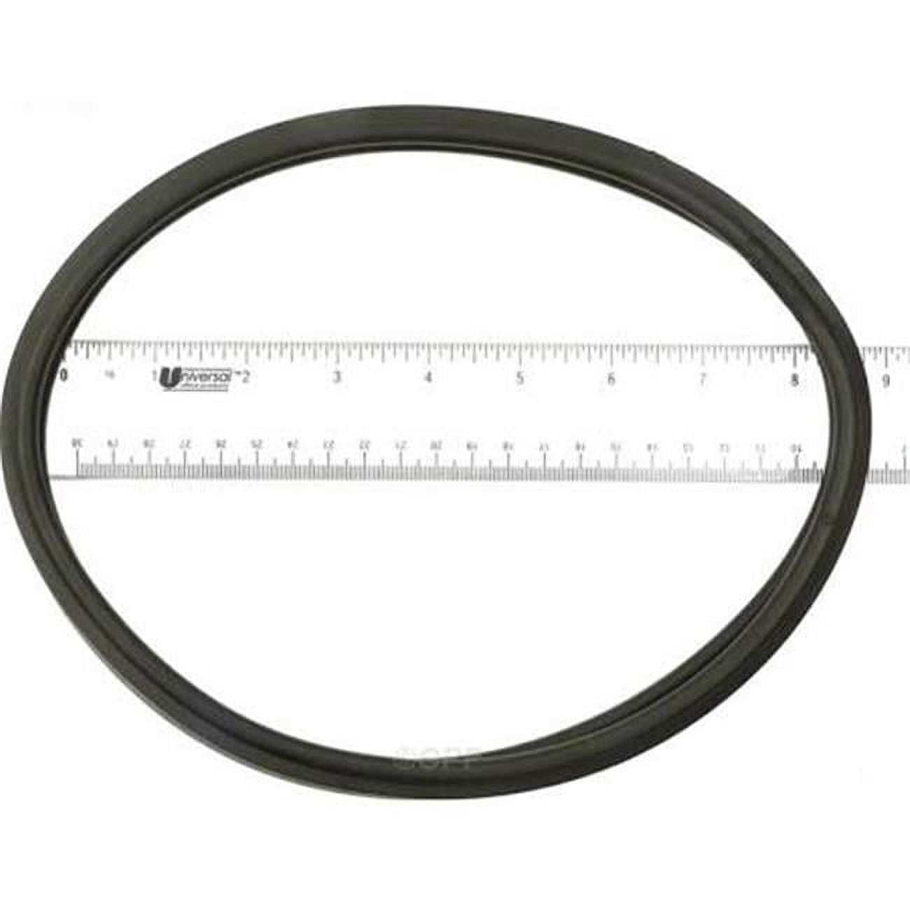 Anthony Lens Gasket