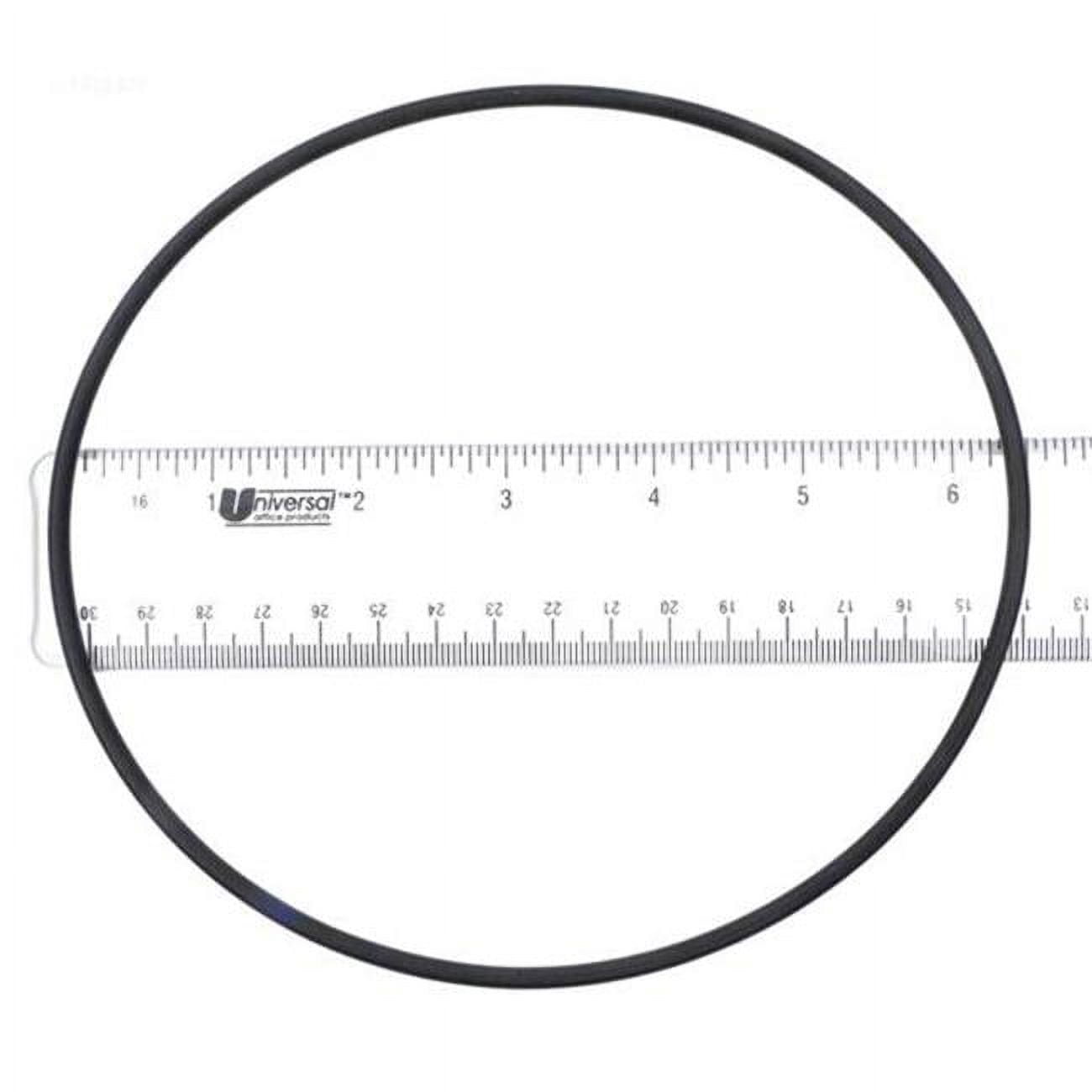 APCO2452 355051275 Swim Quip Generic O-Ring