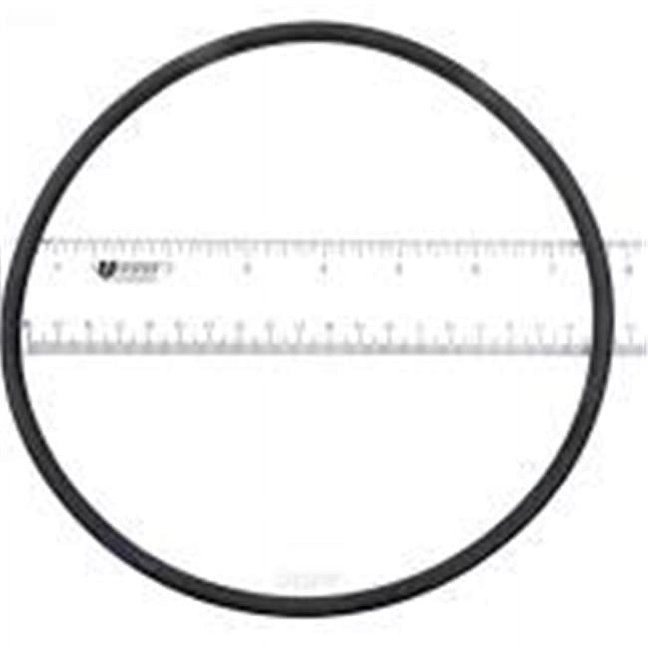 U9369 Starite O-Ring