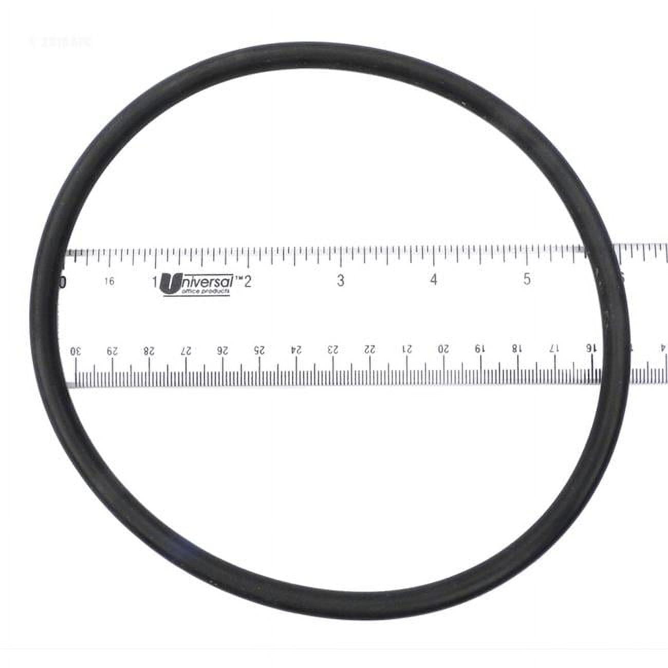 352600 Pacfab Lid Generic O-Ring