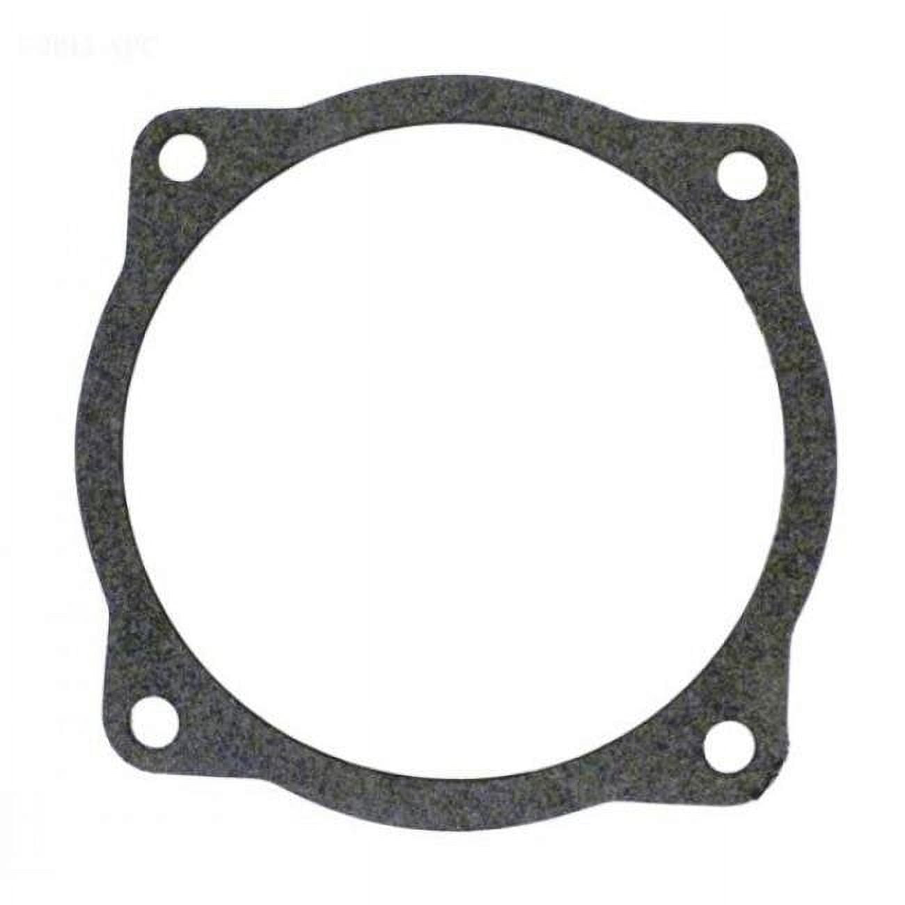 C2072 Pool Starite Gasket