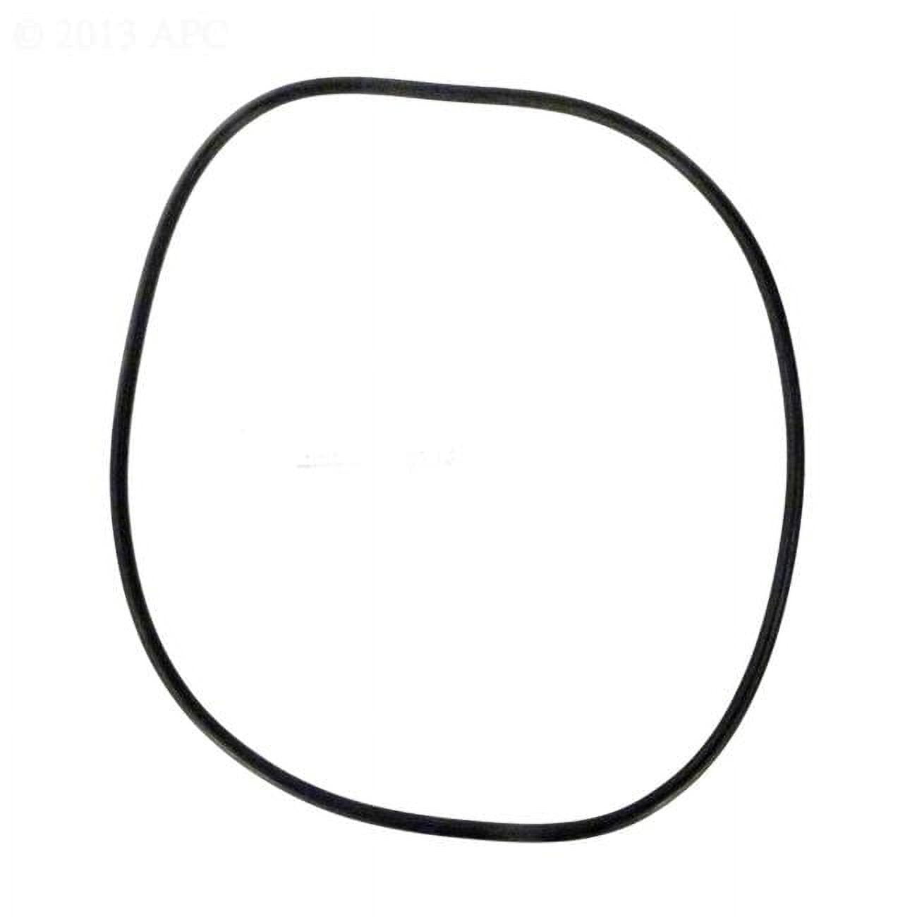 American RPM Tank Clamp O-Ring