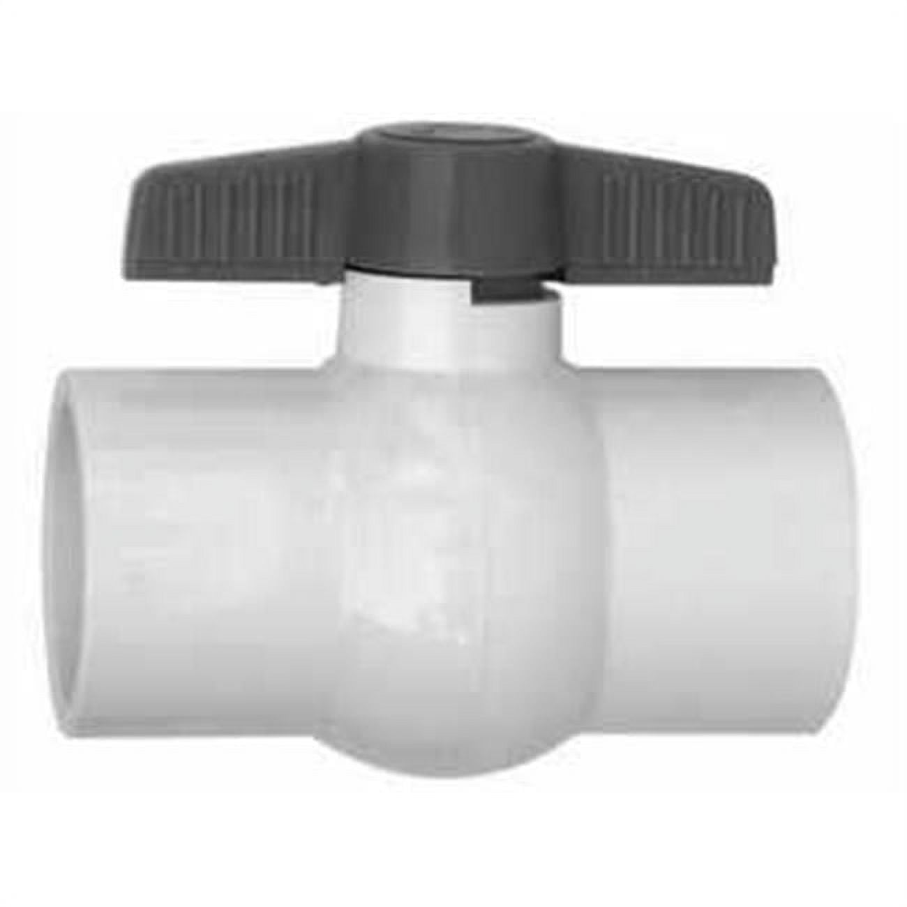 CMP25800751000 0.75 in. Ball Valve - White