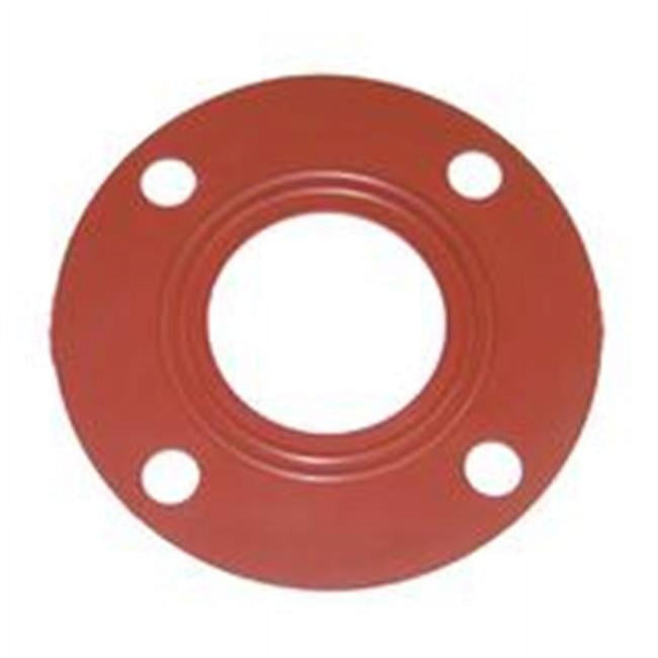 5 in. Flange Gasket