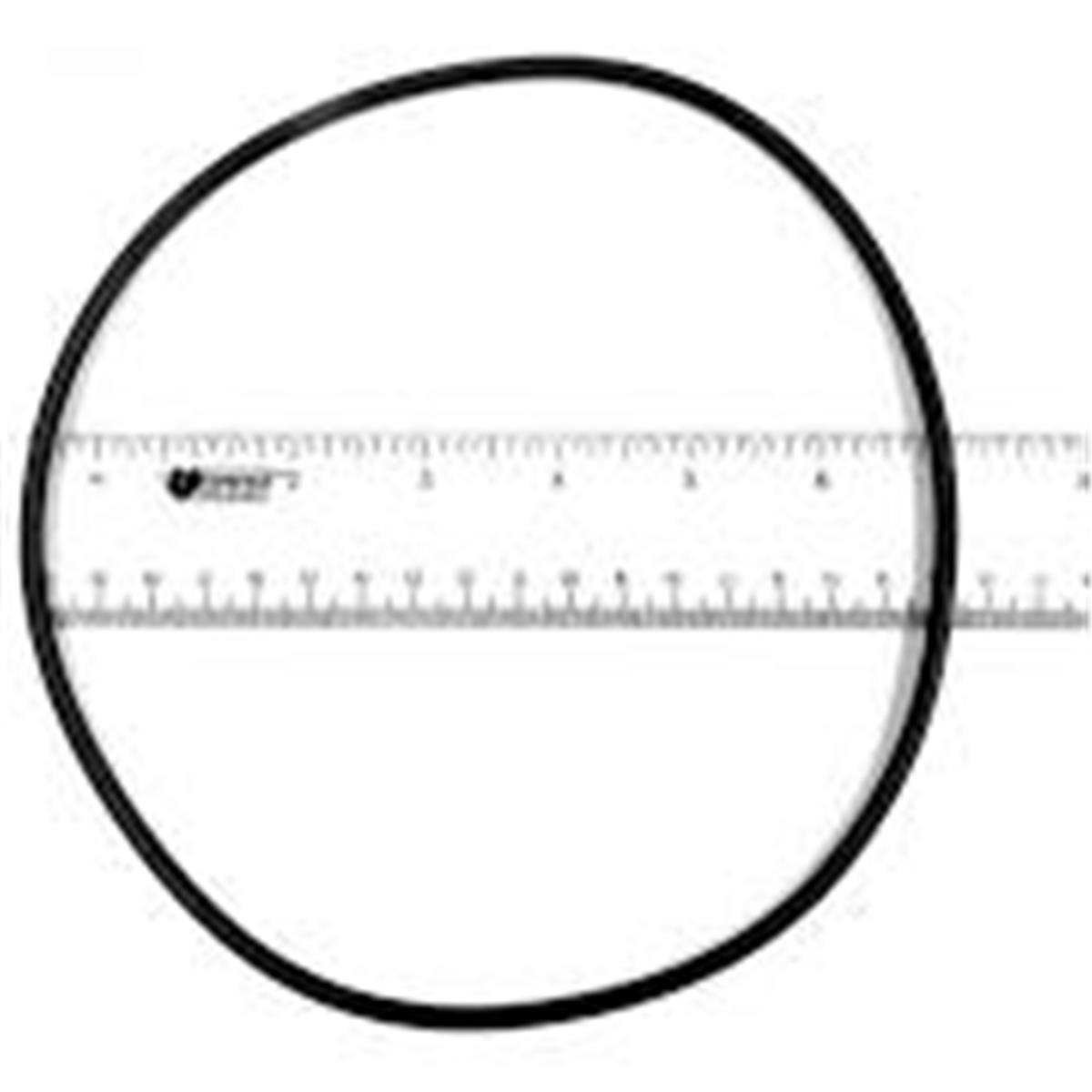 LLA415 Pool Filter Part O-Ring