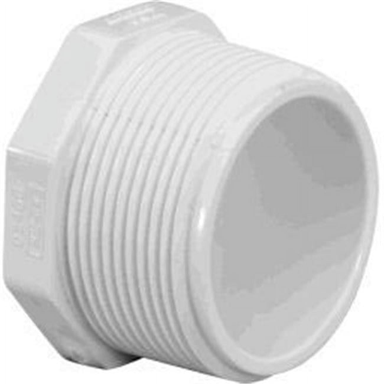 2 in. MPT Plug Schedule 40