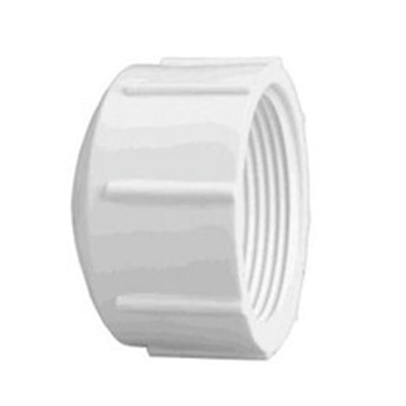 1 in. Femal Pipe Thread Cap 40 Schedule