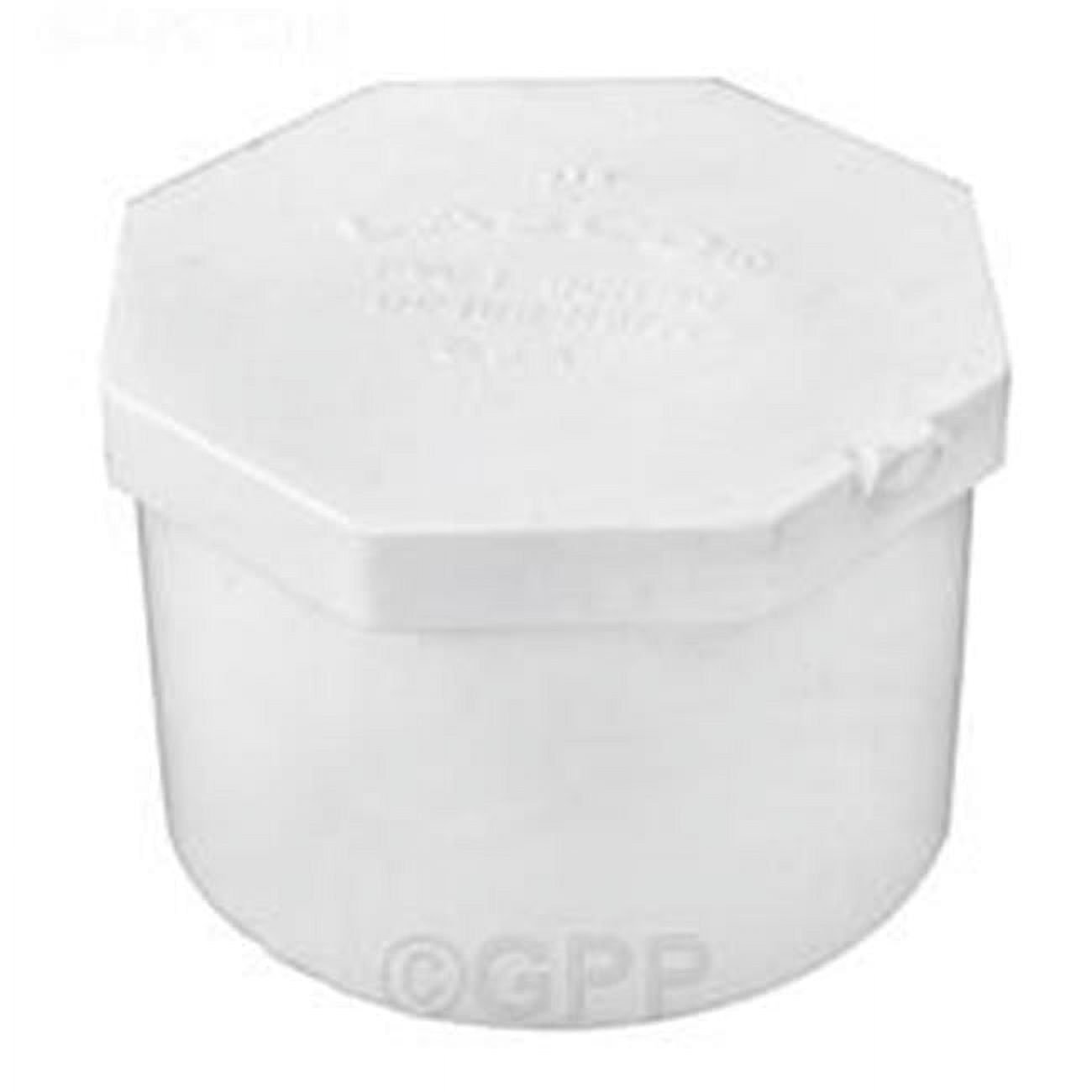 2 in. Spigot Plug 40 Schedule - 10 Per Case